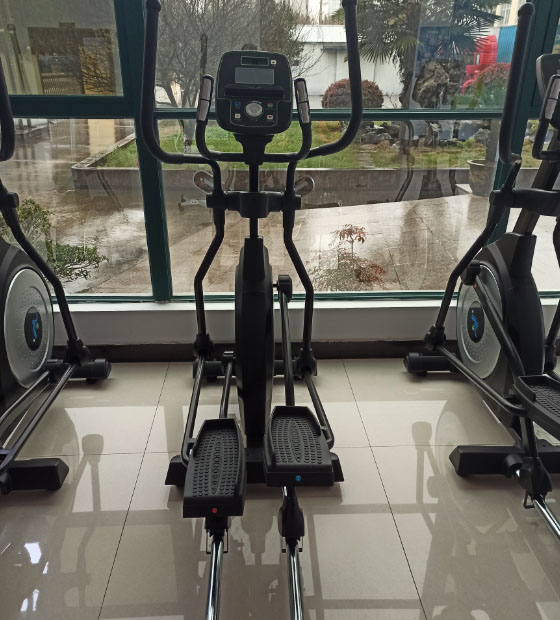 Real Pictures Of Elliptical Machine 9001 Models
