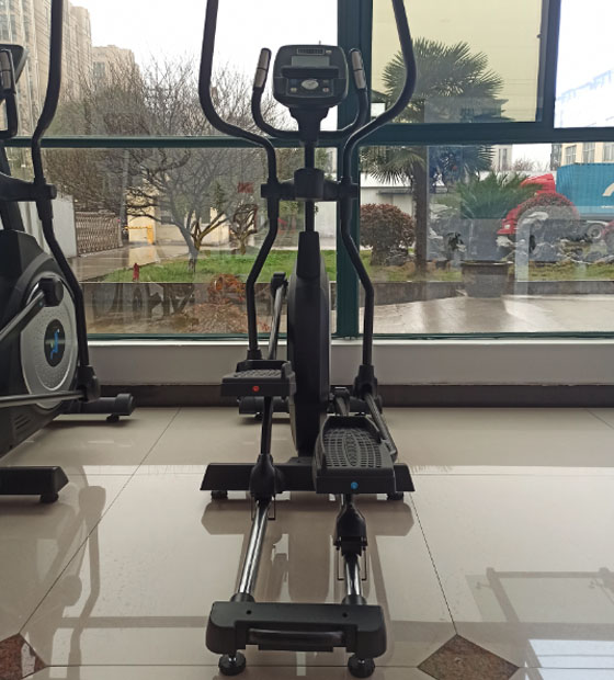 Real Pictures Of Elliptical Machine 9001 Models
