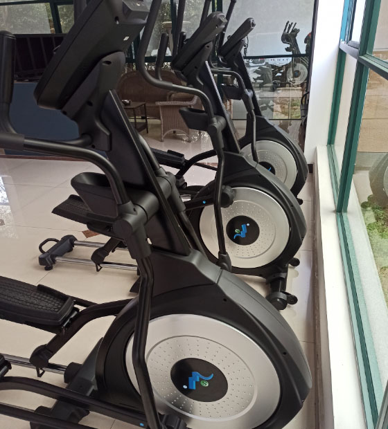 Real Pictures Of Elliptical Machine 9001 Models