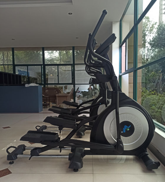 Real Pictures Of Elliptical Machine 9001 Models