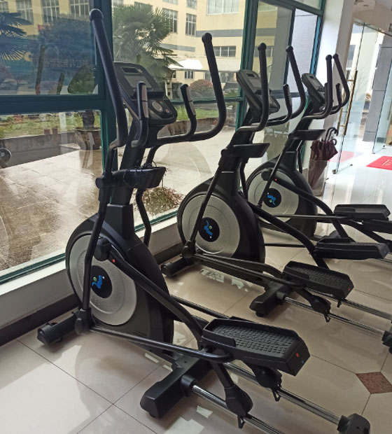 Real Pictures Of Elliptical Machine 9001 Models
